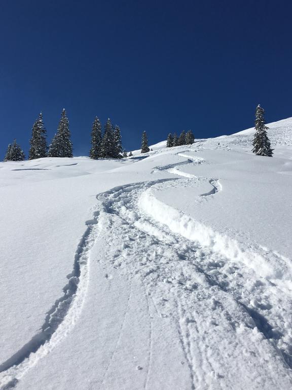 Appartement Haus Seerose Reith im Alpbachtal Εξωτερικό φωτογραφία